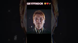 Gryffindor Vs Slytherin  fypシ゚viral gryffindor slytherin harrypotteredit [upl. by Esylla]