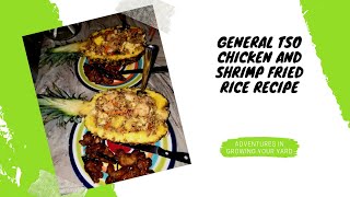 Tasty Pineapple Bowl Recipe General TSO Chicken And Shrimp Fried Rice With A Twist October 6 2021 [upl. by Otanod]