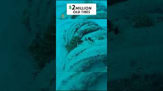 Florida spent 2 million to clean the ocean foryou ocean experiment pourtoi [upl. by Mulvihill]