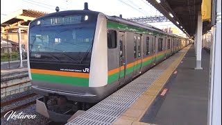 宇都宮線E233系 白岡駅1番線 発車メロディー付き アマリリス [upl. by Ludmilla209]