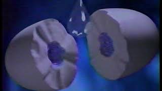 1997 Certs Cool Mints Commercial [upl. by Leonhard209]