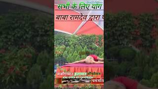 शीर्षासन  Sarvangasana  Halasana Aur Sirsasana  Baba Ramdev Sang GuruBhaktiSewa  shortsfeed [upl. by Kaehpos]