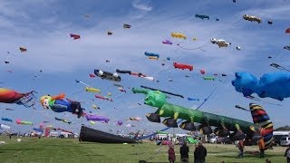 Drachenfest Ostfriesland Internationales Drachen und Windspielfest in Norddeich Nordseeküste [upl. by Enotna]