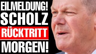 💥EILMELDUNG ALTPARTEIEN ZERSTÖREN SCHOLZ  AfD EXPLODIERT MASSIV💥 [upl. by Peirsen339]