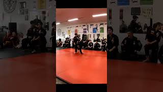 Kenpo Karate Training shorts kenpokarate karate [upl. by Garzon308]