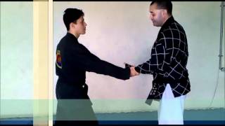 TÉCNICA DE FAIXA BRANCA  HAPKIDO HOSHINKWAN [upl. by Blackmun]