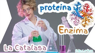 Experimento Biología  Química con la Enzima Catalasa Generación de Oxígeno [upl. by Schilling]