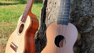 New Original Fingerstyle Ukulele Tune Jungbluth amp Brüko Soprano [upl. by Olsewski]