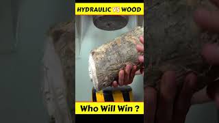 Hydraulic Press VS Wood  shorts ytshort [upl. by Goda]