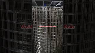 12 Inch Square Mesh 304 Grade Stainless Steel Welded Mesh Rolls Welded Wire Mesh Made in China [upl. by Yorel]