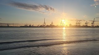 Perch Rock  video 11  Thornback ray fishing River Mersey [upl. by Ernie355]