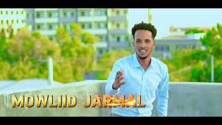 MOWLIID JARMAL DHAANTO CUSUB COMING SONG GABDHAHA REER GALMUDUG STATE 2024VEDIO HD [upl. by Viviana]