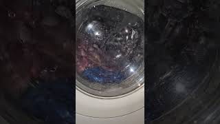 Electrolux EWW 1649  rinse [upl. by Lleryt]