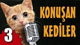 Konuşan Kediler 3  En Komik Kedi Videoları [upl. by Dov853]