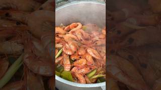 Yummy Cooking Shrimp Recipes  Easy way to cook cooking shrimp recipes imp [upl. by Yr237]