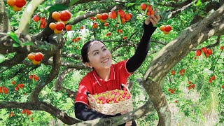 Harvest Acerola Cherry Goes to the market sell  Delicious fruit dishes  Emma Daily Life [upl. by Pomfret]