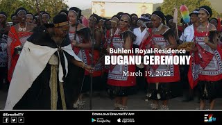 Buhleni Royal Residence Buganu Marula festival 19032022 [upl. by Nilauqcaj410]