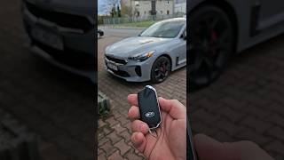 KIA Stinger 33 V6 biturbo 370KM [upl. by Peppel]