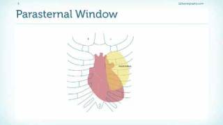 Introduction to the Parasternal Window [upl. by Sybilla612]