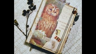 Owl Journal Flip Through [upl. by Anaitak]