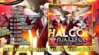 Halcon Huasteco  Huapangos Huastecos Mix 2022  10 Grandes Exitos [upl. by Yrekcaz]