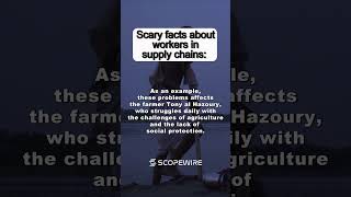 Facts about workers in supply chain Part 2  English  Scopewire [upl. by Ytima]