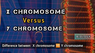 X and Y chromosome explain Difference between X chromosome vs Y chromosome chromosome [upl. by Tirrell]