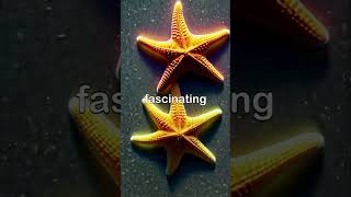 The Fascinating Adaptations of Starfish Regeneration Movement and Feeding [upl. by Juditha990]