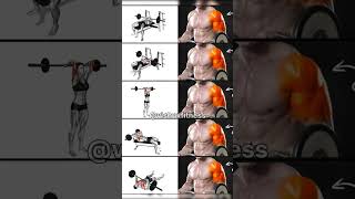 How to build strong tricepes workout [upl. by Seen688]