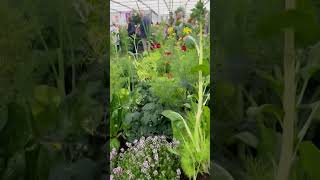 Chelsea Flower Show  RHS x UBS “A Day on the nursery insights into life as a grower” [upl. by Bliss]