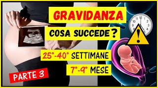 Gravidanzacosa succede settimana per settimana mese per mese Cambiamenti 2540 settimana79 mese [upl. by Sinnard]