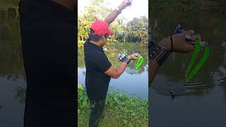 Best Slingshot Fish Hunting huntfish fishcatching fish slingshot [upl. by Bernelle]