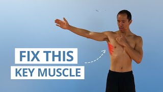 5 Unique Serratus Anterior Exercises for Strong amp Stable Shoulders [upl. by Ssenav746]