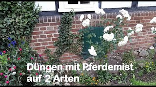 Düngen mit Pferdemist auf 2 verschiedene Arten [upl. by Lehctim755]