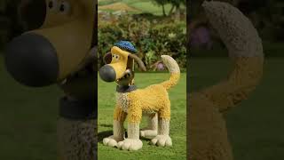 Flock Fun🐑🐑🐑 shorts shaunthesheep cartoonforkids [upl. by Deryl]