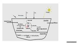 Oxidation Ponds for Secondary sewage Treatment [upl. by Leik]