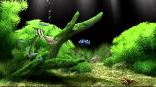 Dream Aquarium Virtual Fishtank 2 [upl. by Publia196]