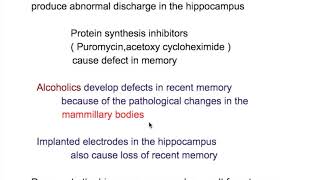 Hippocampus and memory [upl. by Jammin300]