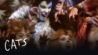 The Unique Challenges of Cats  Behind the Scenes  Cats the Musical [upl. by Initsed]