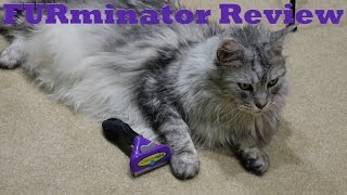 FURminator Review Video with Sean Coonery [upl. by Halyhs]