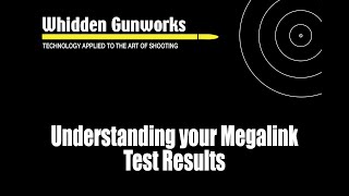 Understanding your Megalink Results [upl. by Eidnalem812]