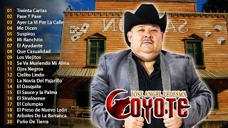 El Coyote y Su Banda Las 20 Mejores Canciones  Puras Para Pistear  El Coyote Mix Con banda [upl. by Kendall]