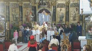 Episcopia GrecoCatolică de Oradea Live Stream [upl. by Rahas]