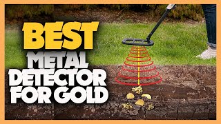 10 Best Metal Detectors for Gold of 2022 [upl. by Nnylkoorb]