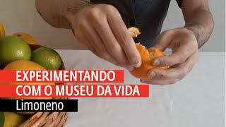 Você sabe o que é o limoneno [upl. by Cavit]