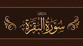 SurahAlBaqarah full surah fastrecitation  by Mishary Bin Rashid 🤲 [upl. by Arsi]