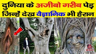 दुनिया के अजीबो गरीब पेड़ जिन्हें देख वैज्ञानिक भी हैरान  Strangest and Rarest Trees on Earth [upl. by Rofotsirk124]