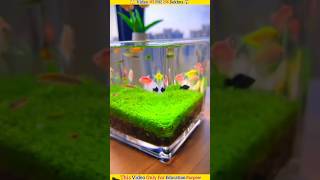 Water fiss amazingfacts factsinhindi experiment facts top3amazing shorts [upl. by Aikaz]