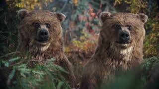 Twix Bears  Camping Cannes advertising festival 2022 Film Category Silver Lion [upl. by Lrigybab754]