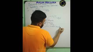 Mollusca Phylum  Echinodermata Phylum  Part13  Five Kingdom Classification  btosacademy [upl. by Anhoj710]